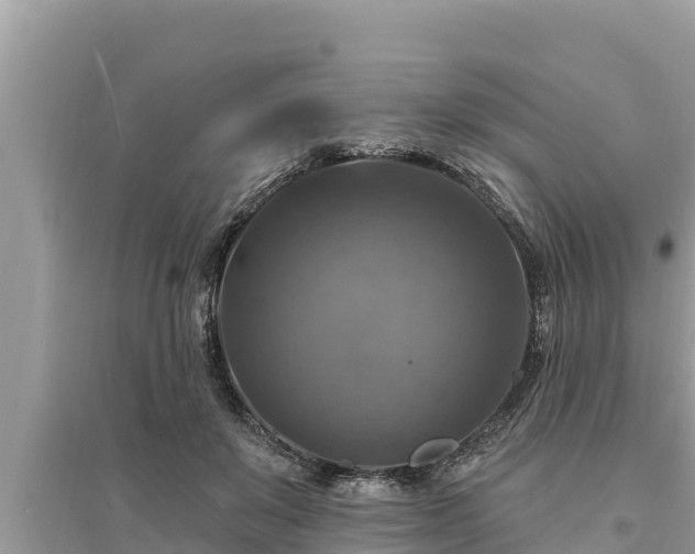 X0000095550503200712211412