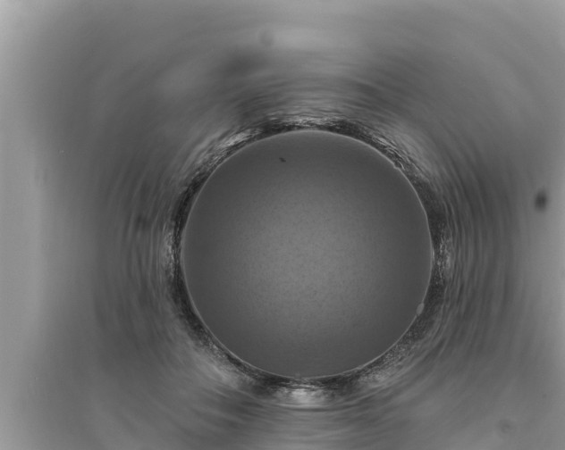 X0000095550506200712211412