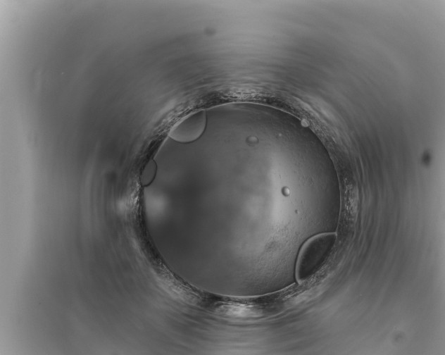 X0000095550507200712211412