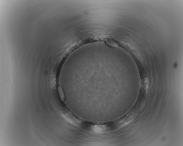 X0000095550508200712211412