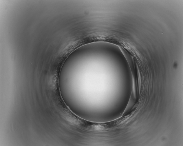 X0000095550509200712211412