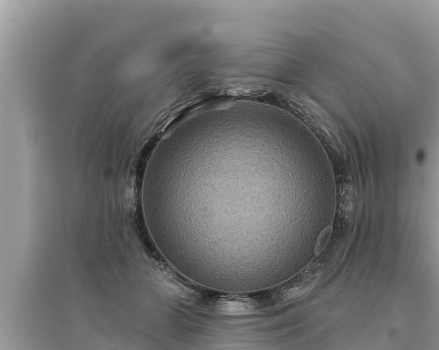 X0000095550510200712211412