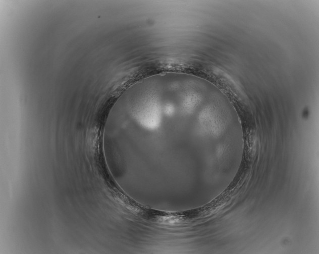 X0000095550511200712211412