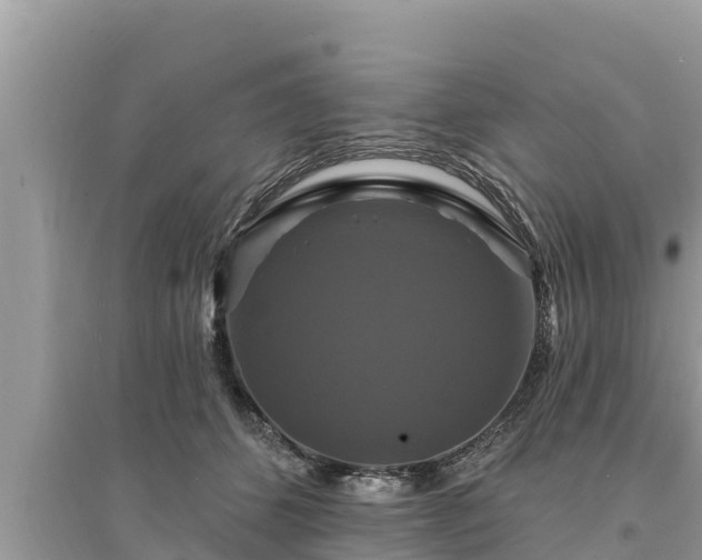 X0000095550512200712211412