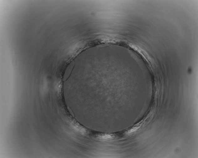 X0000095550513200712211412