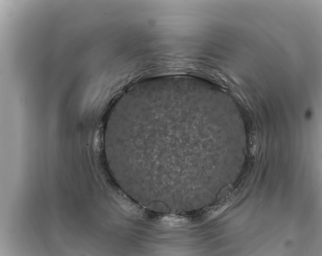 X0000095550515200712211412