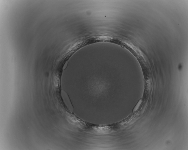 X0000095550517200712211412