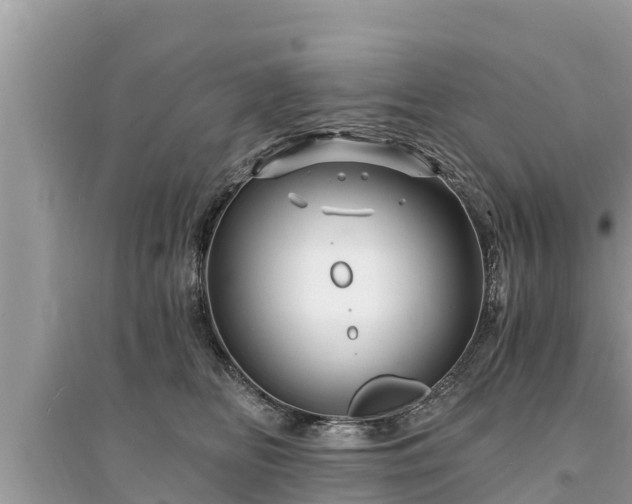 X0000095550518200712211412