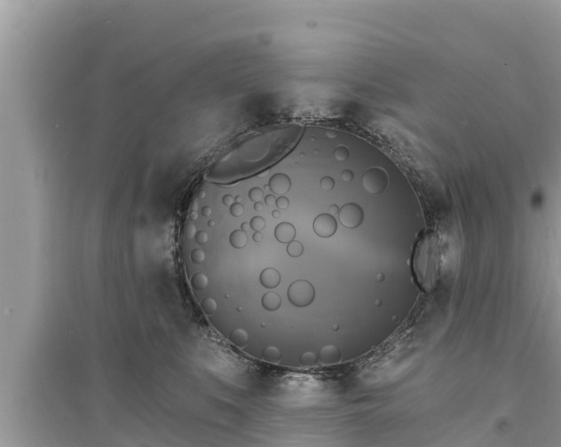 X0000095550519200712211412