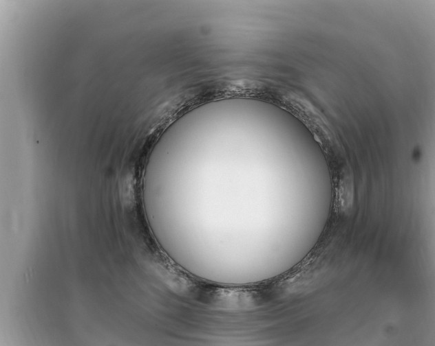 X0000095550520200712211412