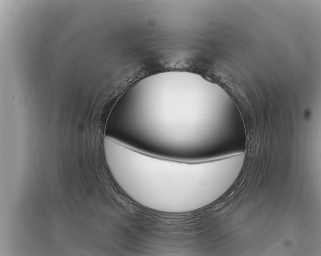 X0000095550521200712211412