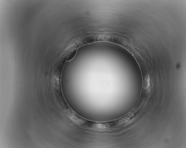 X0000095550522200712211412