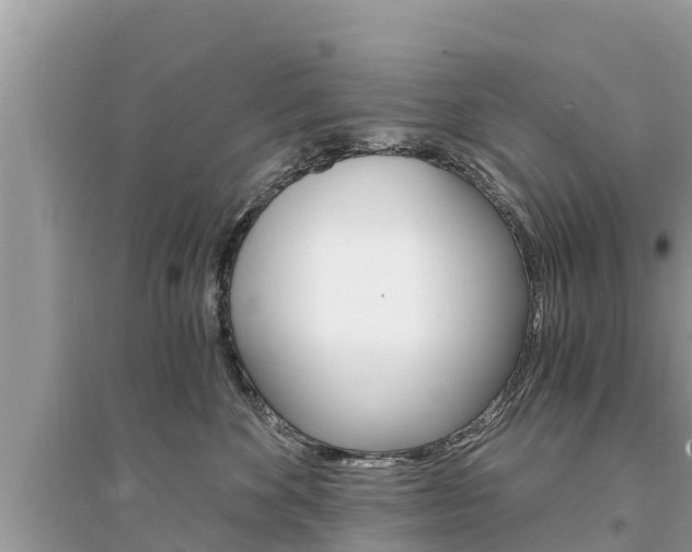 X0000095550524200712211412