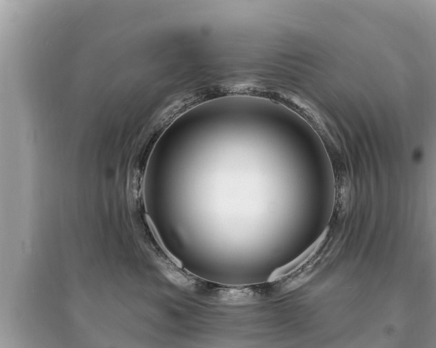 X0000095550525200712211412