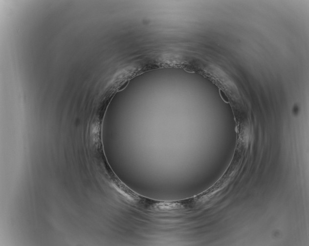 X0000095550526200712211412