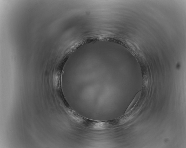 X0000095550527200712211412