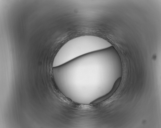 X0000095550528200712211412