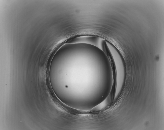 X0000095550530200712211411