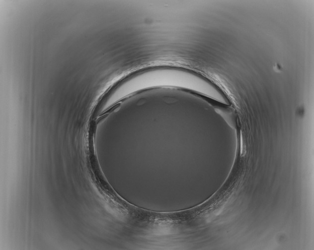 X0000095550531200712211411