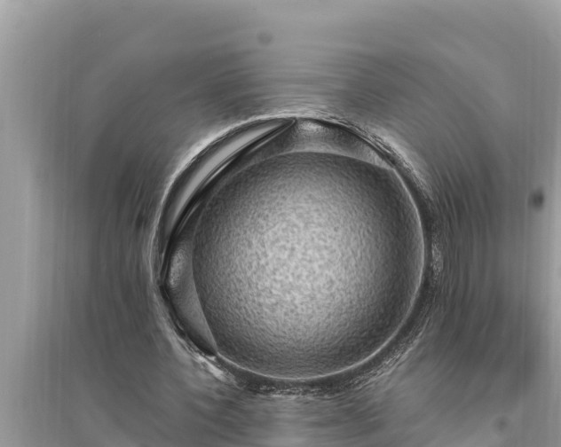 X0000095550532200712211411