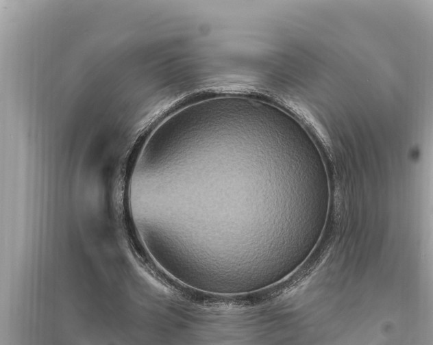 X0000095550533200712211411