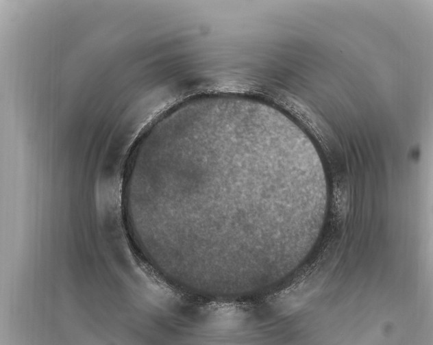 X0000095550534200712211411