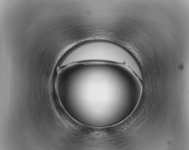 X0000095550536200712211411