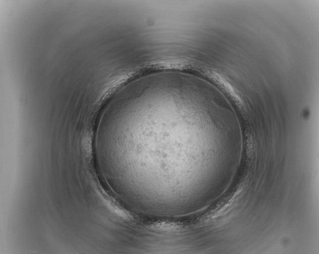 X0000095550537200712211411