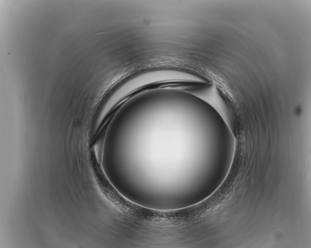 X0000095550538200712211411