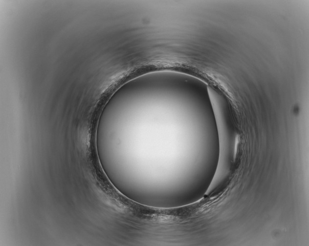 X0000095550539200712211411