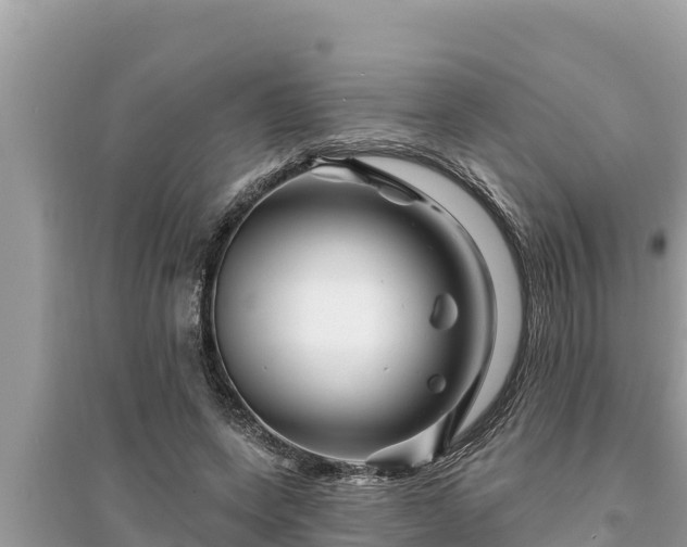 X0000095550543200712211411