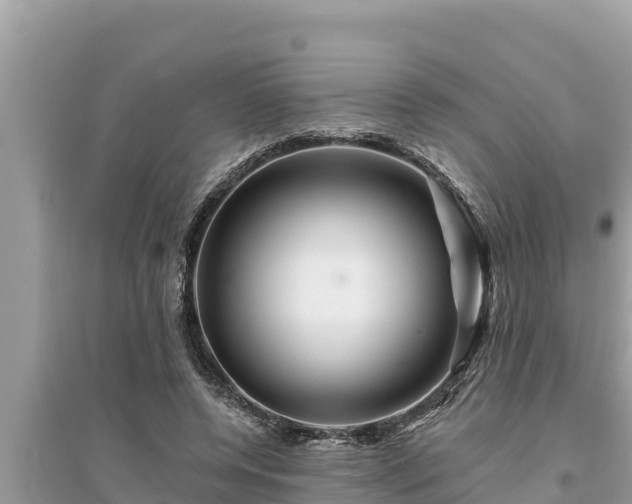 X0000095550544200712211412