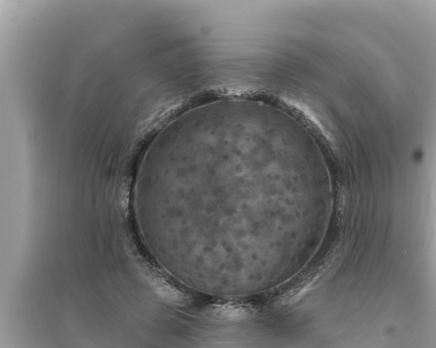 X0000095550545200712211412