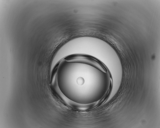 X0000095550546200712211412