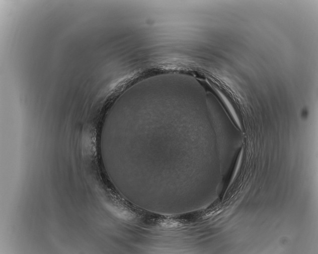 X0000095550547200712211412