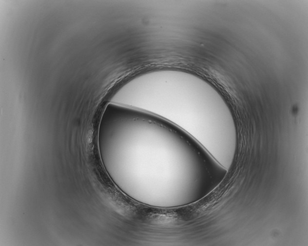 X0000095550548200712211412