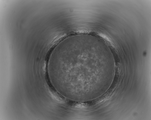 X0000095550550200712211412