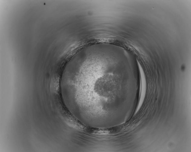 X0000095550554200712211412