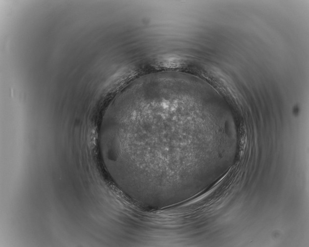 X0000095550555200712211412