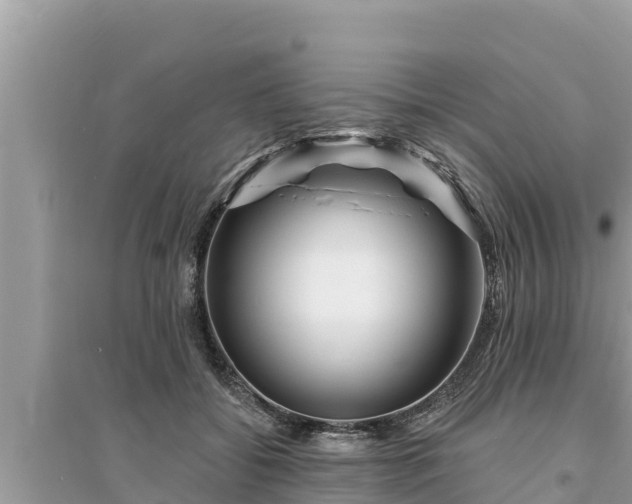 X0000095550556200712211412