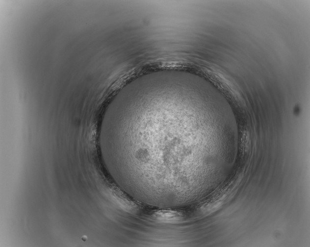 X0000095550557200712211412