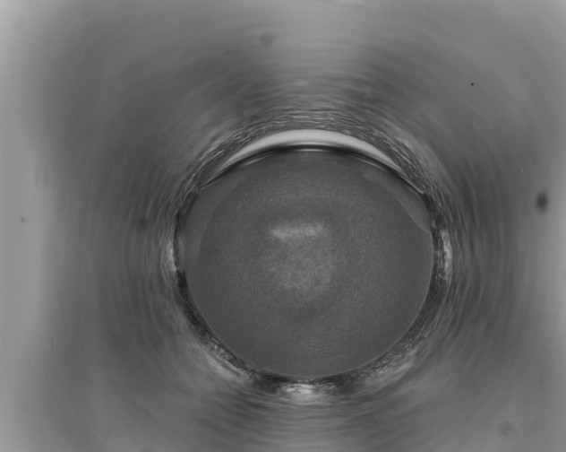 X0000095550558200712211412