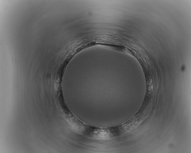 X0000095550559200712211412