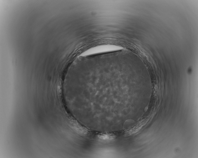 X0000095550561200712211412