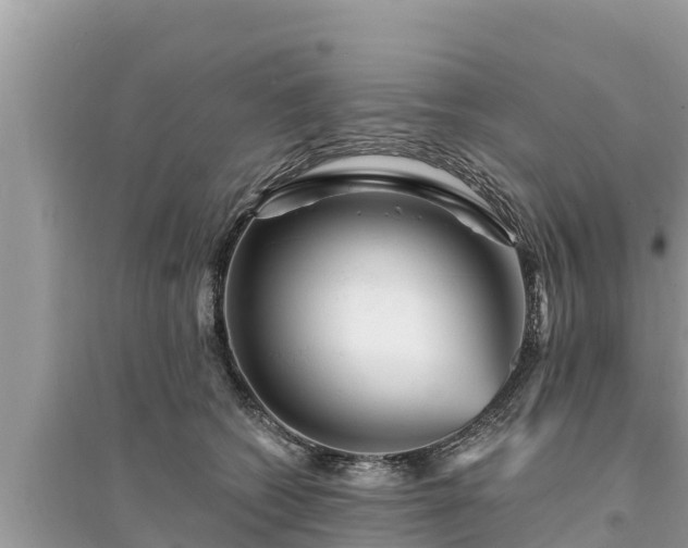 X0000095550562200712211412