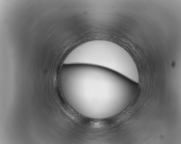 X0000095550564200712211412