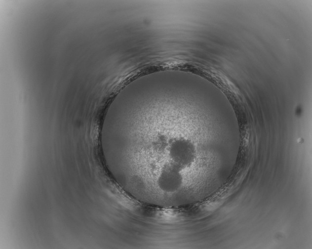 X0000095550565200712211412