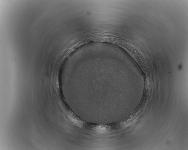 X0000095550566200712211412