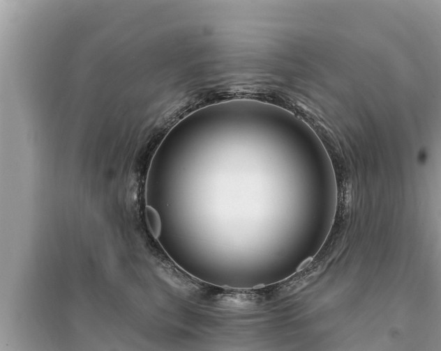 X0000095550567200712211412