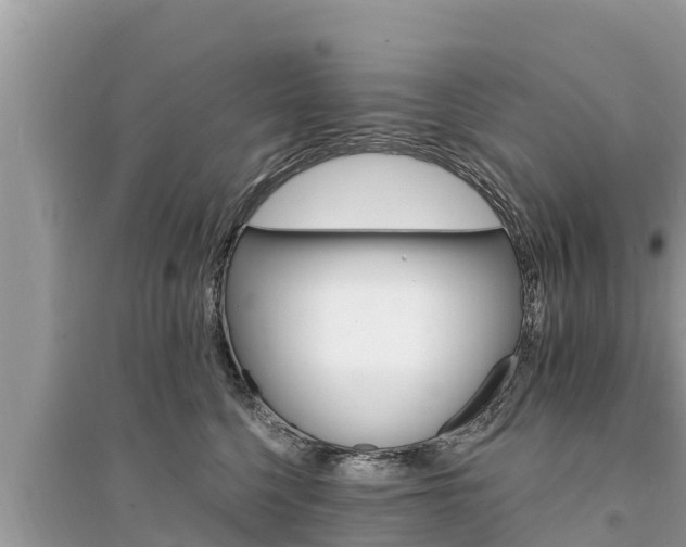 X0000095550568200712211412